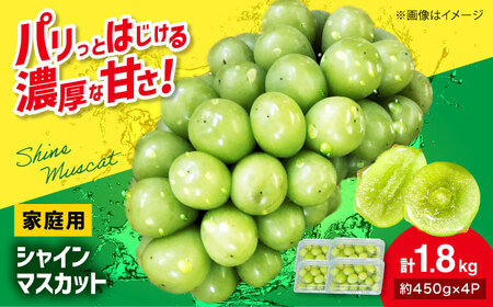 [先行予約][9月下旬から順次発送]家庭用 シャインマスカット 計1.8kg(約450g×4パック) 粒入り シャインマスカット シャインマスカット シャインマスカット[APCR001]