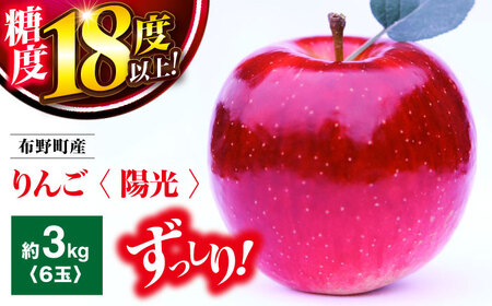 [先行予約][10月中旬から11月上旬順次発送]布野町産リンゴ「陽光」大6個セット[APDD001] リンゴ