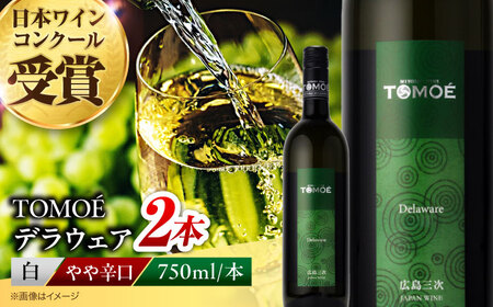 ワイン TOMOEデラウェア 白 やや辛口 750ml×2本 受賞 [APAZ089] 白ワイン