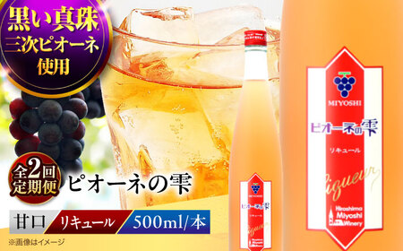 [全2回定期便]果実酒 ピオーネの雫 500ml×1本 リキュール 甘口 [APAZ119] お酒