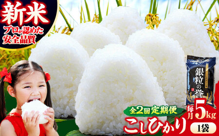 [全2回定期便]こしひかり 5kg [令和7年産米] [APDC003] こしひかり