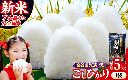 �y�S3�����ցz�����Ђ��� 5kg �y�ߘa7�N�Y�āz  [APDC004] �����Ђ���