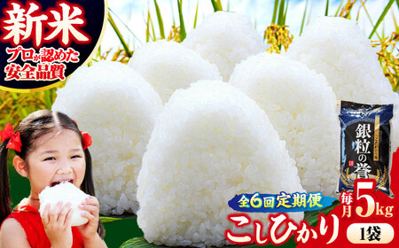 �y�S6�����ցz�����Ђ��� 5kg �y�ߘa7�N�Y�āz  [APDC005] �����Ђ���