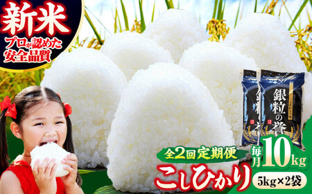 �y�S2�����ցz�����Ђ��� 10kg  �y�ߘa7�N�Y�āz  [APDC006] �����Ђ���