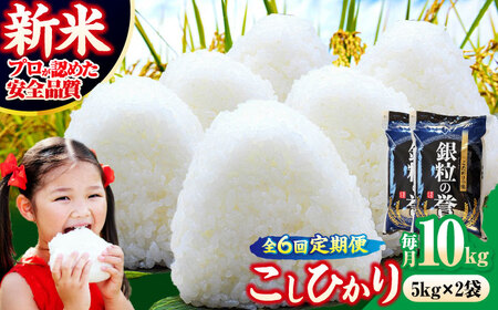 �y�S6�����ցz�����Ђ��� 10kg  �y�ߘa7�N�Y�āz  [APDC008] �����Ђ���