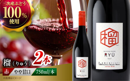 赤ワイン 榴 りゅう RYU 750ml×2本 [APAZ133]赤ワイン