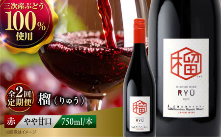 [全2回定期便] 赤ワイン 榴 りゅう RYU 750ml×1本 [APAZ137]赤ワイン