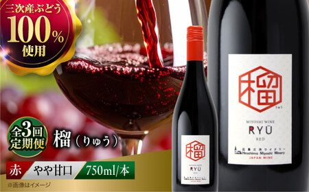 [全3回定期便]赤ワイン 榴 りゅう RYU 750ml×1本 [APAZ138]赤ワイン