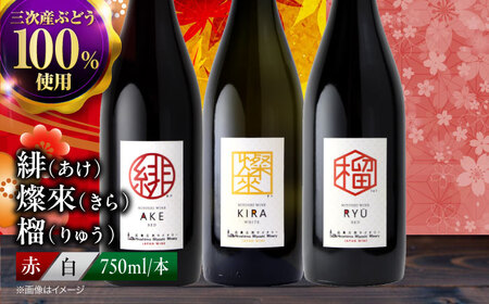 ワイン 飲み比べ 3本 ワインセット [APAZ144]