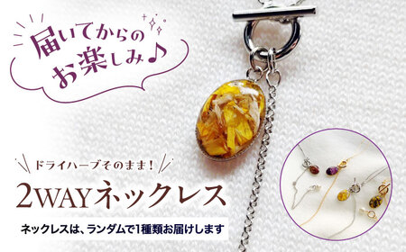 2WAYネックレス [ハーブおまかせ] [APCW001]アクセサリー