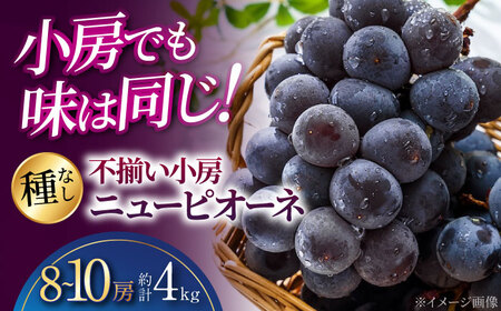 [2026年先行予約] 不揃い 三次のぶどう ニューピオーネ(約4kg/8から10房)[8月下旬頃から順次発送] 小房 三次市 / 黒瀬ぶどう園[APAB006]