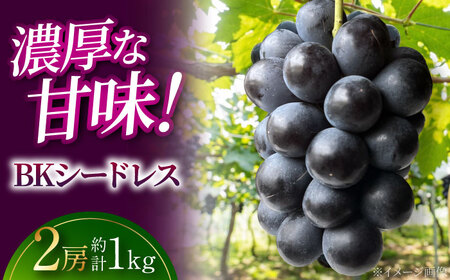 ぶどう BKシードレス 2房 三次市 [APAB008] ブドウ