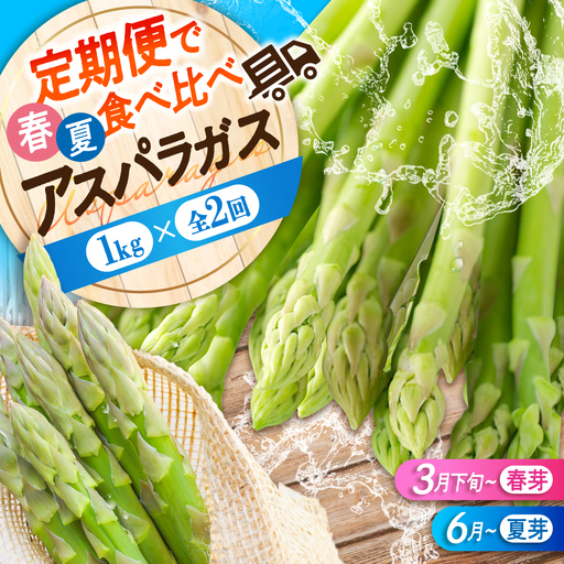 アスパラ [2回定期便] 春芽&夏芽 計2.0kg)[APAU005] アスパラガス