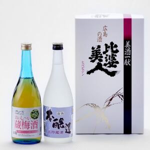 本醸造・梅酒セット(720ml×2本)