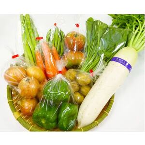道の駅たかのスタッフ厳選!庄原市産「旬」の野菜詰め合わせ　8～10点【配送不可地域：離島】【1639412】