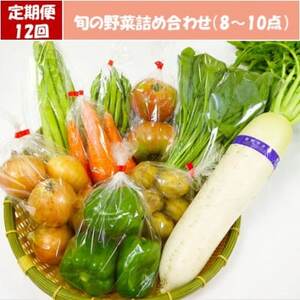 【毎週定期便】道の駅たかのスタッフ厳選!庄原市産「旬」の野菜詰め合わせ(8～10点)全12回【配送不可地域：離島】【4070051】