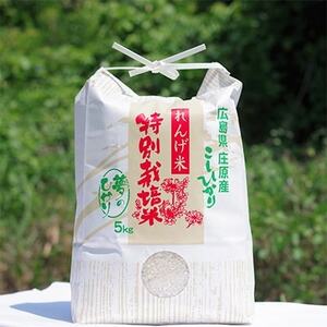 ̂Ђ@5kg(Ђ)y1202412z