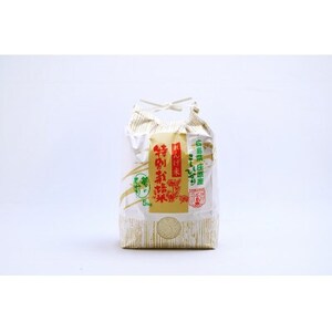 yցẑЂ5kg(Ђ)S6y4074310z