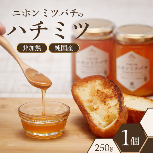 二ホンミツバチのハチミツ 250g×1個 | はちみつ 蜂蜜 国産 非加熱 にほんみつばち 日本蜜蜂