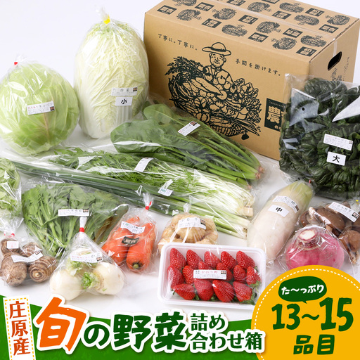 広島県庄原産「旬の野菜」詰め合わせ箱(13〜15品目)野菜セット やさい