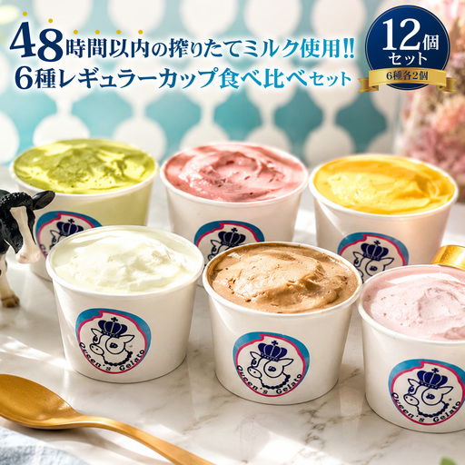 クイーンズジェラート レギュラーカップ12個セット 100ml×12個 (6種 各2個) 