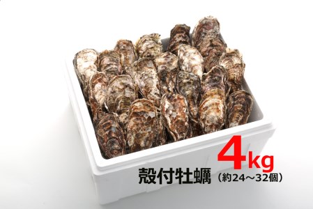 殻付 牡蠣 4kg｜朝どれ 生牡蠣 生かき 生がき 生カキ 生ガキ 広島県産 宮島 瀬戸 [1381]