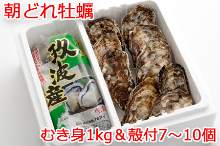 むき身&殻付 牡蠣 Aセット|朝どれ 生牡蠣 生かき 生がき 生カキ 生ガキ 広島県産 宮島 瀬戸 [1745]