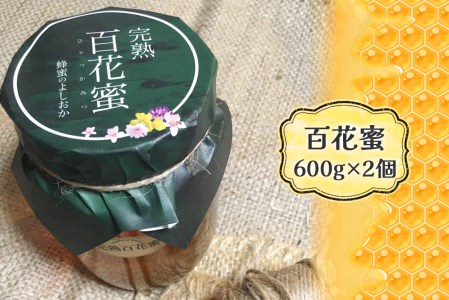完熟純粋 ハチミツ 百花蜜 600g×2個|広島県産 はちみつ 蜂蜜 国産 [1444]