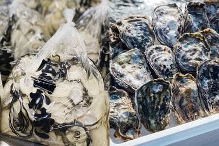[予約商品]牡蠣 広島 むき身牡蠣300g&殻付き牡蠣(8個〜10個) 矢野水産[配送不可:離島][配送時期:2026年1月上旬〜2026年4月上旬]