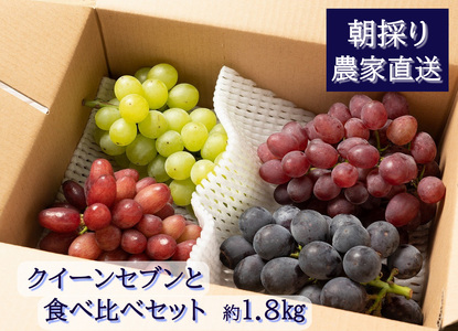 y2026Ns\zNC[ZuƐHה׃Zbgi2j@8{@L@_ƒEVN̂@yzsFzyzF8{zy͂wsz