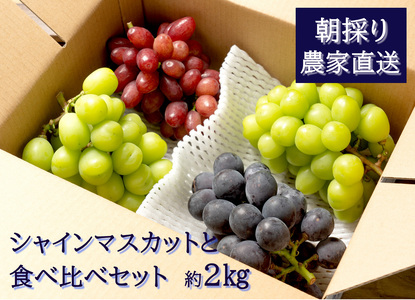 y2026Ns\zVC}XJbgƐHה׃Zbgi2kgj@9{@L@_ƒEVN̂@yzsFzyzF9{zy͂wsz