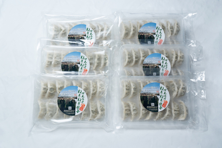 ねぎ農家がつくったサムライねぎ餃子96個(16個x6パック)