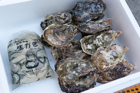 [予約商品]牡蠣 詰め合わせ 殻付き 15個 むき身 500g 広島県産 新鮮 全国配送 濃厚リピート[配送不可:離島][配送時期:1月上旬〜3月下旬]