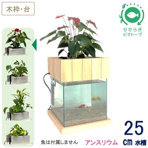 せせらぎビオトープ 25cm型基本+木枠台セット(アンスリウム)