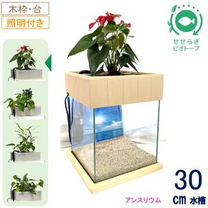 せせらぎビオトープ 30cm型照明+木枠台セット(アンスリウム)