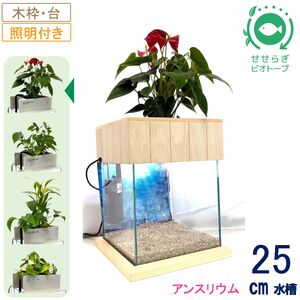 せせらぎビオトープ 25cm型照明+木枠台セット(アンスリウム)