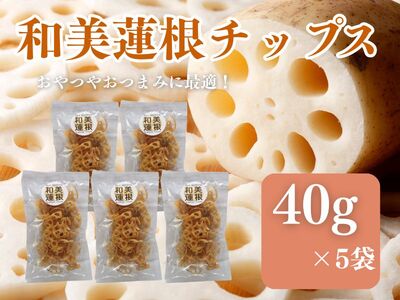 和美蓮根チップス 40g×5袋