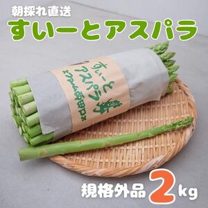 [予約商品]朝採れ直送 すいーとアスパラ(規格外品) 2kg[配送時期:4月上旬〜10月上旬]