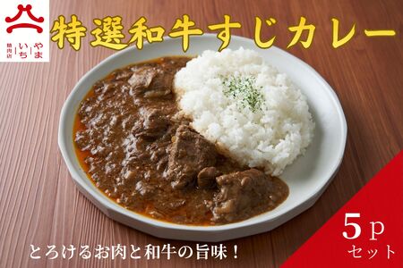 やまいち特製 特選和牛すじカレー 220g×5袋