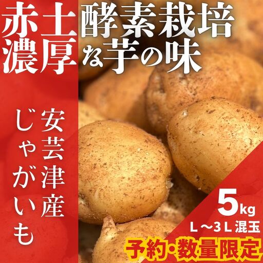 [予約商品]安芸津のじゃがいも 5kg[配送時期:7月上旬〜下旬]