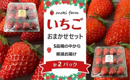 おおのきふぁーむ 苺おまかせセット 2パック★北海道・沖縄・離島配送不可★