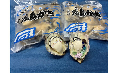 �{������񂾗Ⓚ�ނ��g600g+���y�k�}�O�l�b�g���L�[�z���_�[