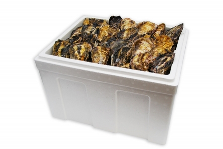 kCEzsyꗱktyzMTCY75sMpt