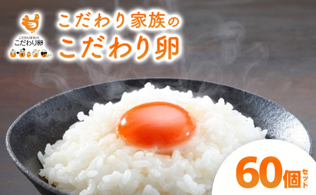  Ƒ̂藑 60 Zbg L |cs ܂ {