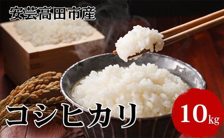 �� �ߘa7�N�Y�@�L�������|���c�s�Y�R�V�q�J��10kg�i5kg×2�܁j ���ā^�R�V�q�J�� ���� �����Ђ���