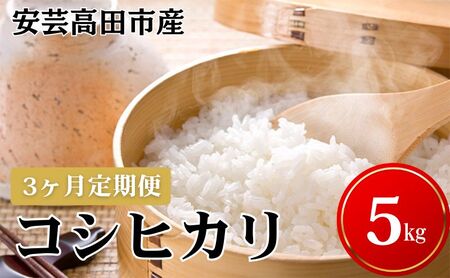 �� �y3�������͂��z�ߘa7�N�Y�@���|���c�s�Y�R�V�q�J��5kg ���ā^�R�V�q�J�� ���� �����Ђ��� �����