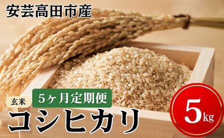 �� �y5�������͂��z�ߘa7�N�Y�@���|���c�s�Y�R�V�q�J���w���āx5kg ���� �����