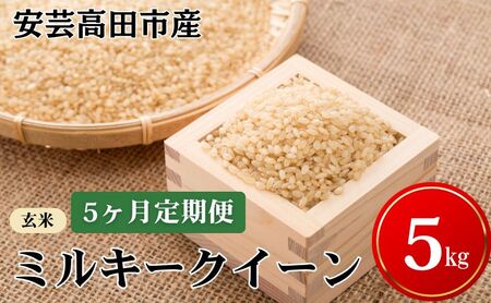  y5͂zߘa7NY@|csY~L[NC[wāx5kg  