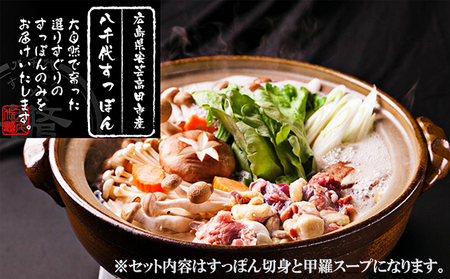 八千代すっぽん鍋セット(2〜3人前×3セット) スッポン コラーゲンスープ