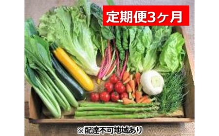 旬の野菜・定期便(3か月)[配達不可:北海道・沖縄・離島]